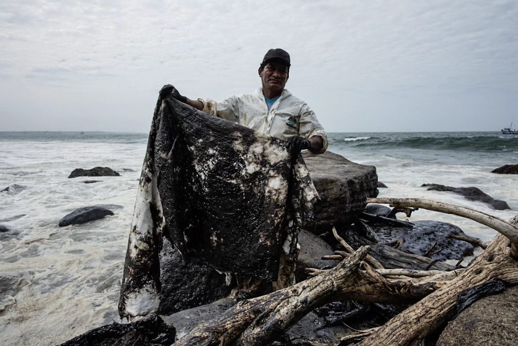 Pescador Lobitos