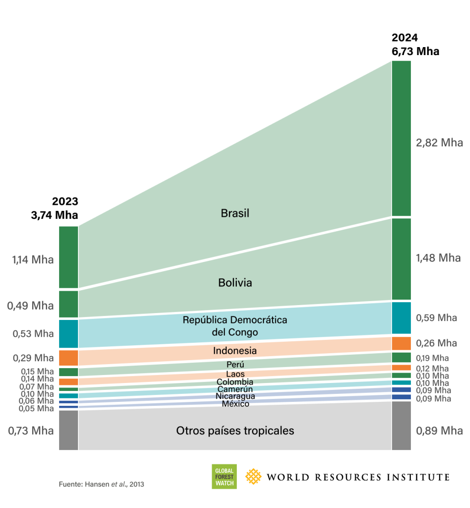 Gráfico pérdida de hectáreas