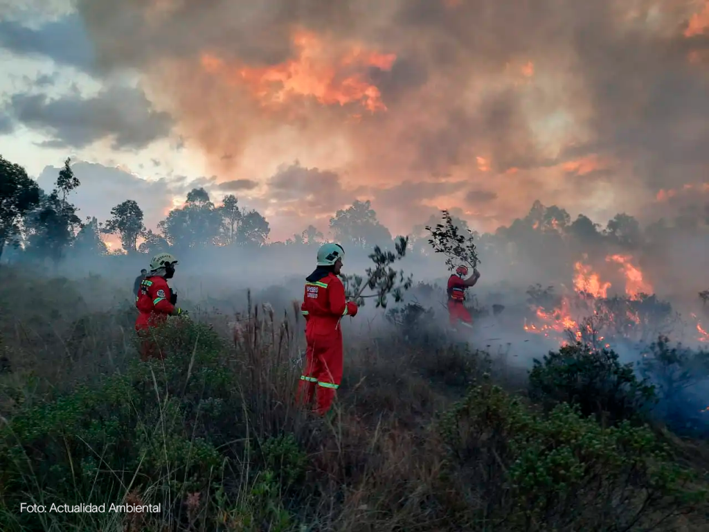 incendio forestal
